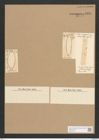 Surirella decora Ehr. (de-Toni-Nr.: Genus 53, Species 2257) Zeichnungen Sammlung Grunow Nr. 4686 (NHMW-BOT-W0372763)